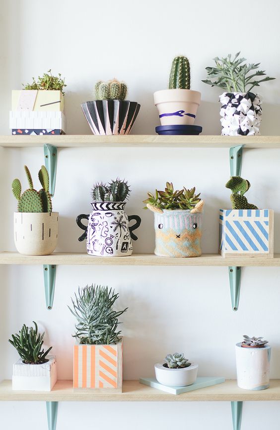 10 Plants that will bring a pozitive vibe to your home  Daily Dream Decor  Bloglovin\u2019
