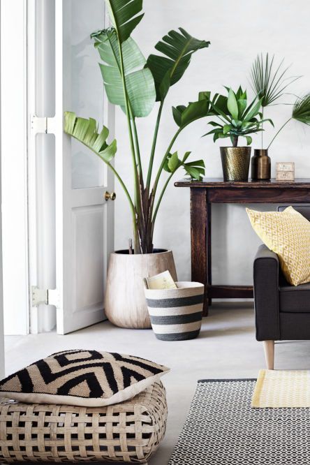 10 Dreamy reasons why you will fell in love with this new deco trend
