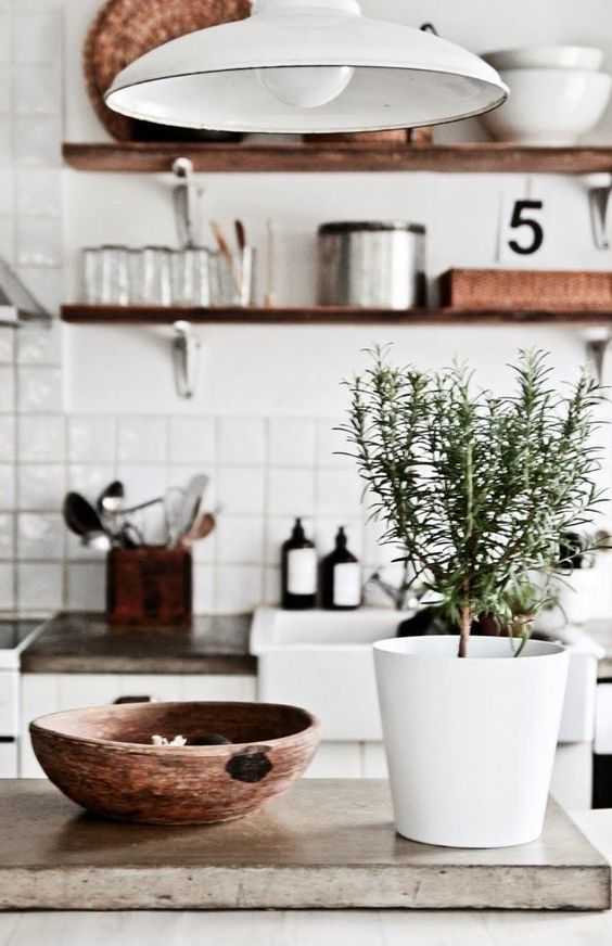 10 Plants that will bring a pozitive vibe to your home