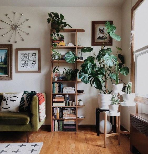 6 Dreamy urban jungle home decor ideas for your home - Daily Dream Decor