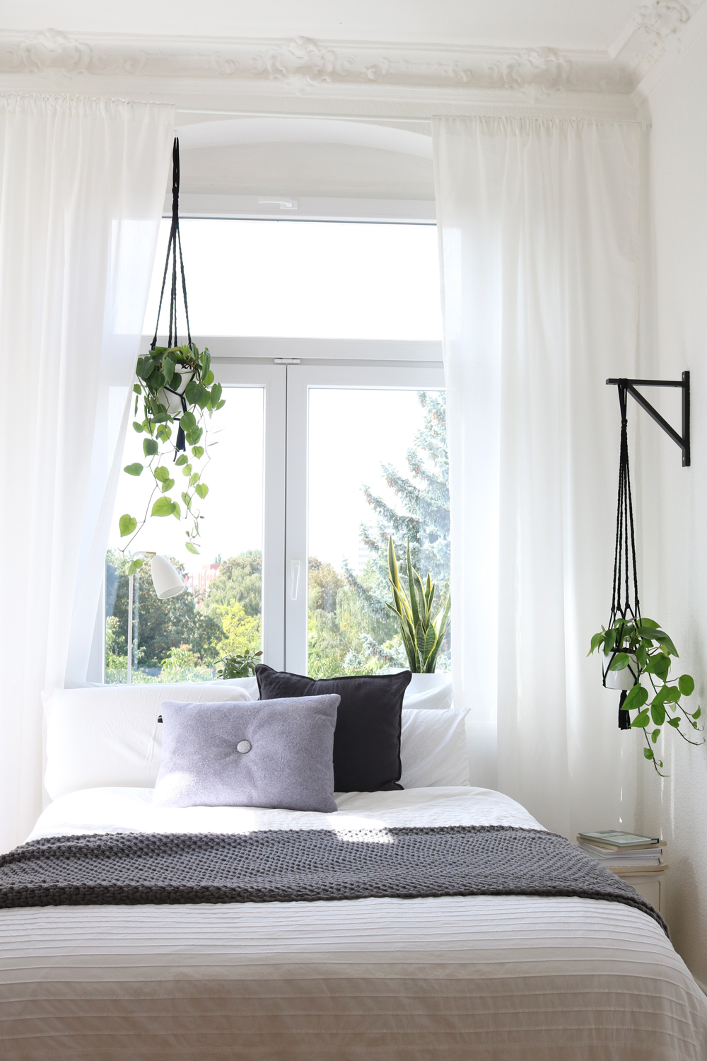 7 Dreamy ways to decorate your home with different types plants