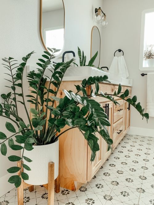 7 Dreamy ways to decorate your home with different types plants